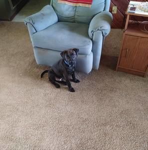 Meet your Posher, William